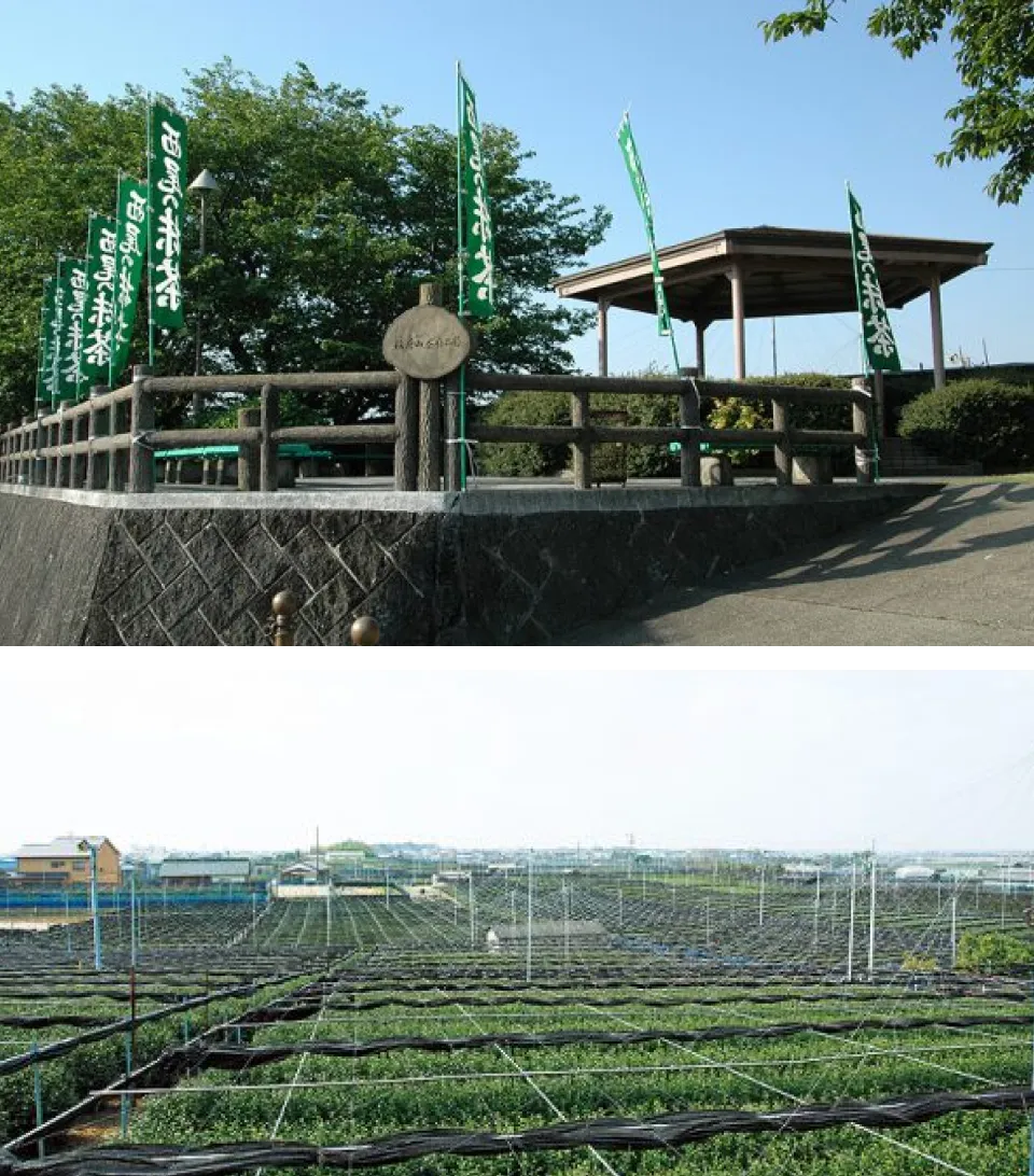 稲荷山茶園公園