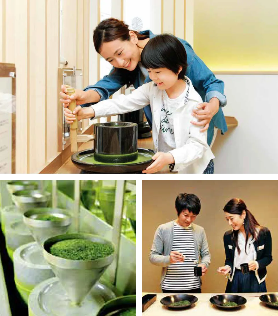 抹茶ミュージアム「西条園和く和く」