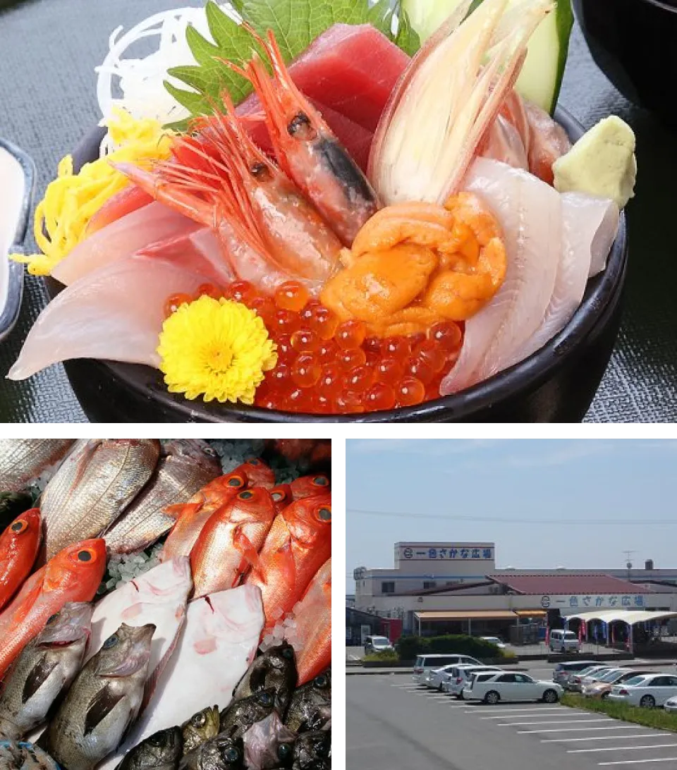 一色さかな広場