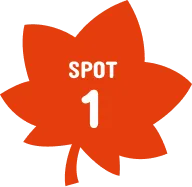 SPOT 1