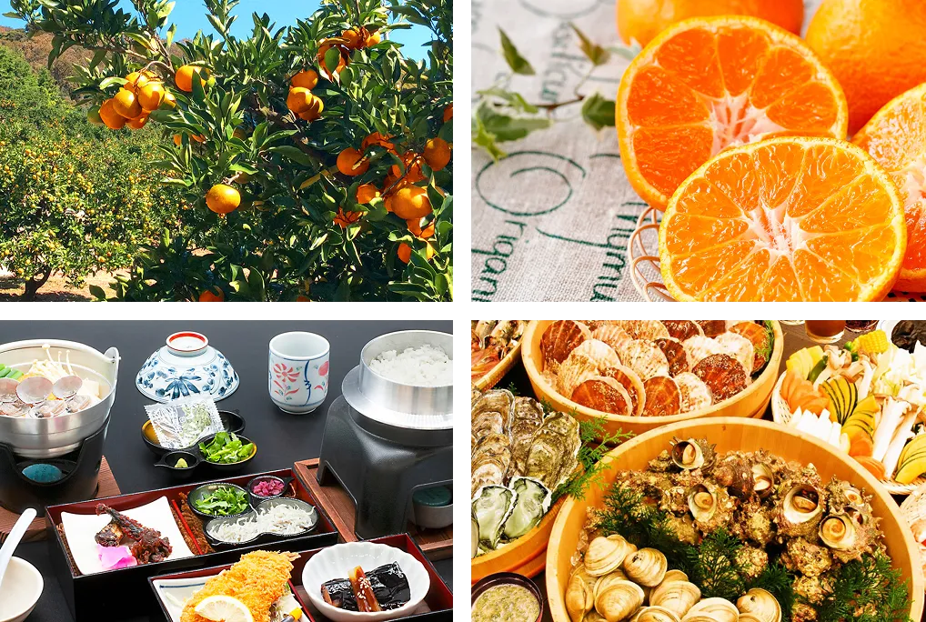 蒲郡オレンジパーク