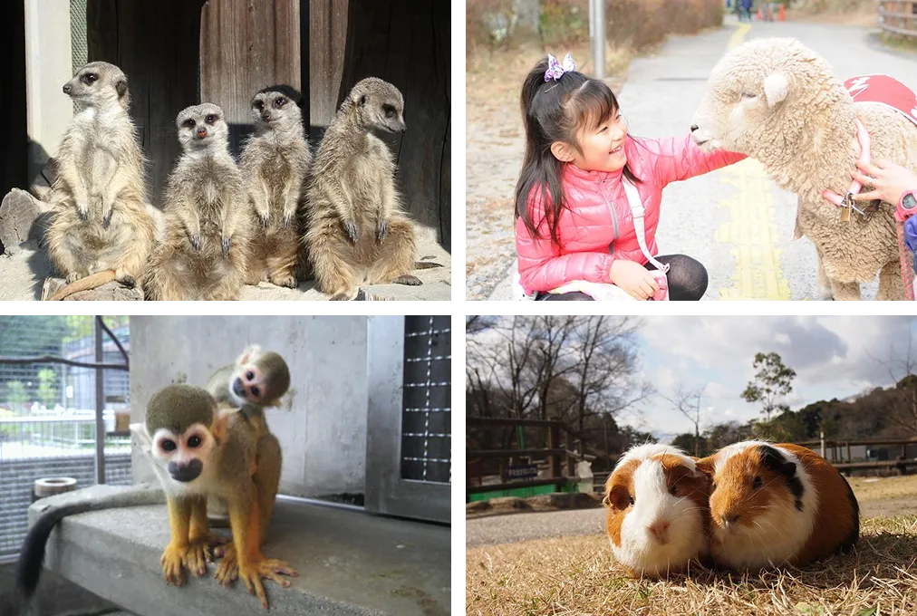 岡崎市東公園動物園