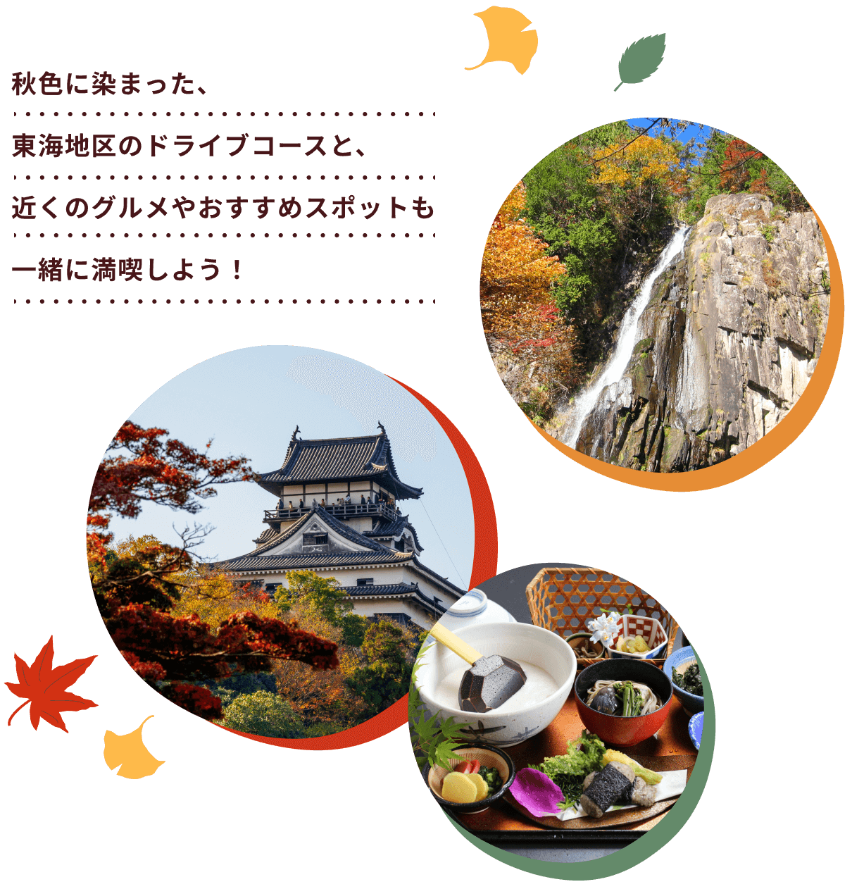 秋色に染まった、東海地方のドライブコースと、近くのグルメやおすすめスポットも一緒に満喫しよう!