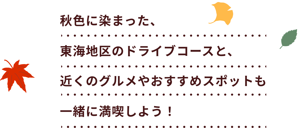 秋色に染まった、東海地方のドライブコースと、近くのグルメやおすすめスポットも一緒に満喫しよう!