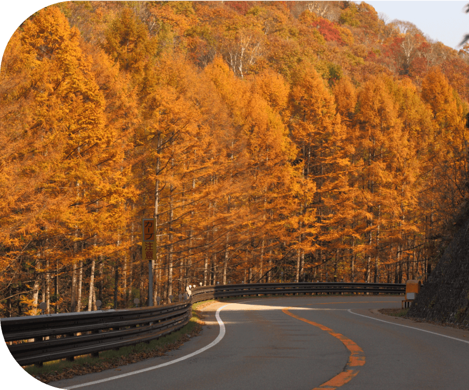 飛騨・美濃せせらぎ街道