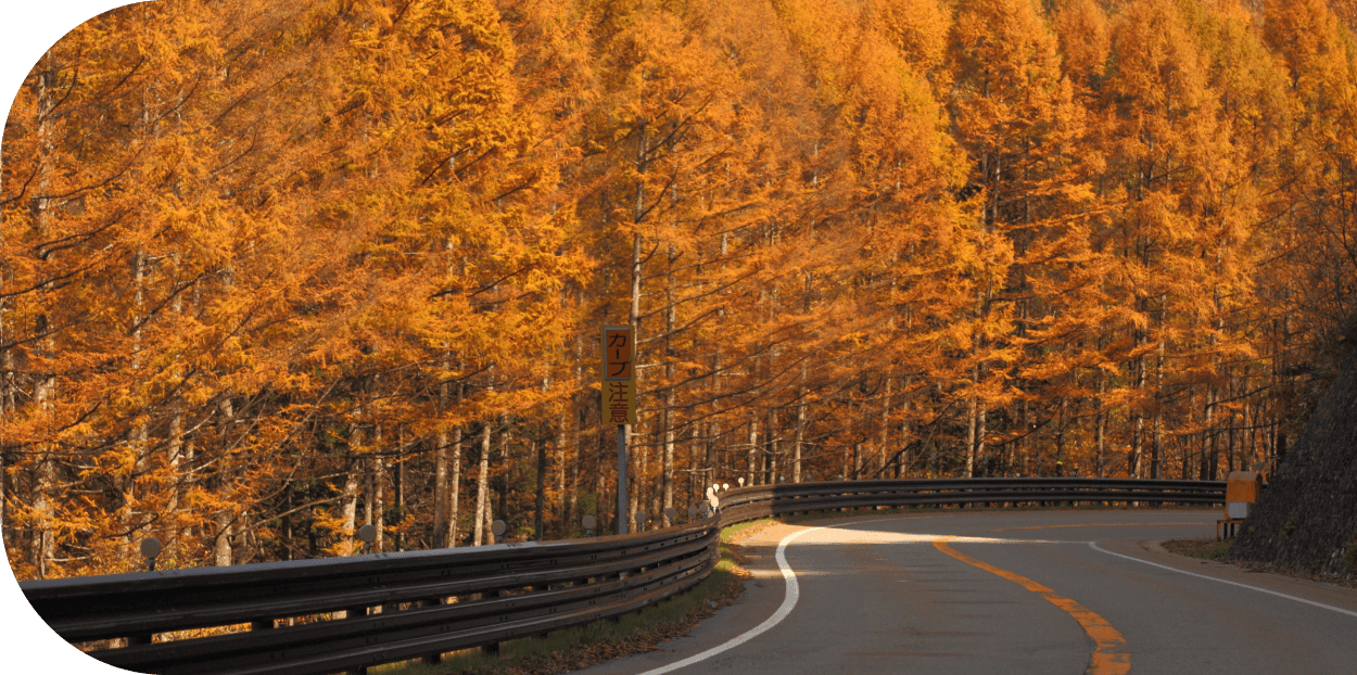 飛騨・美濃せせらぎ街道