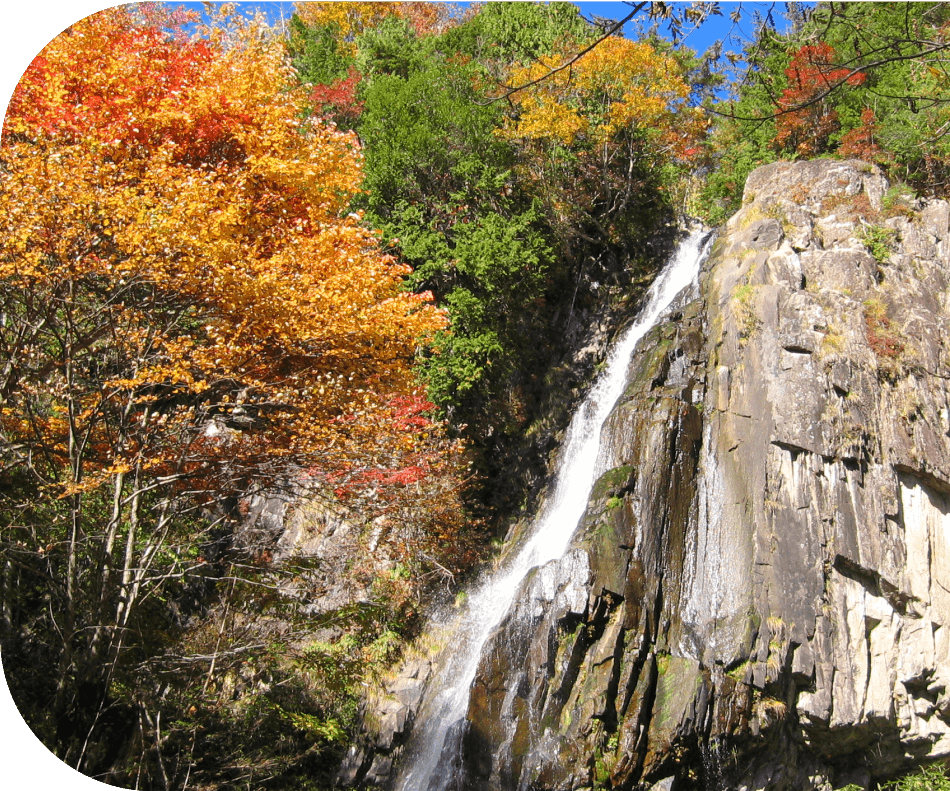 森林公園おおくら滝