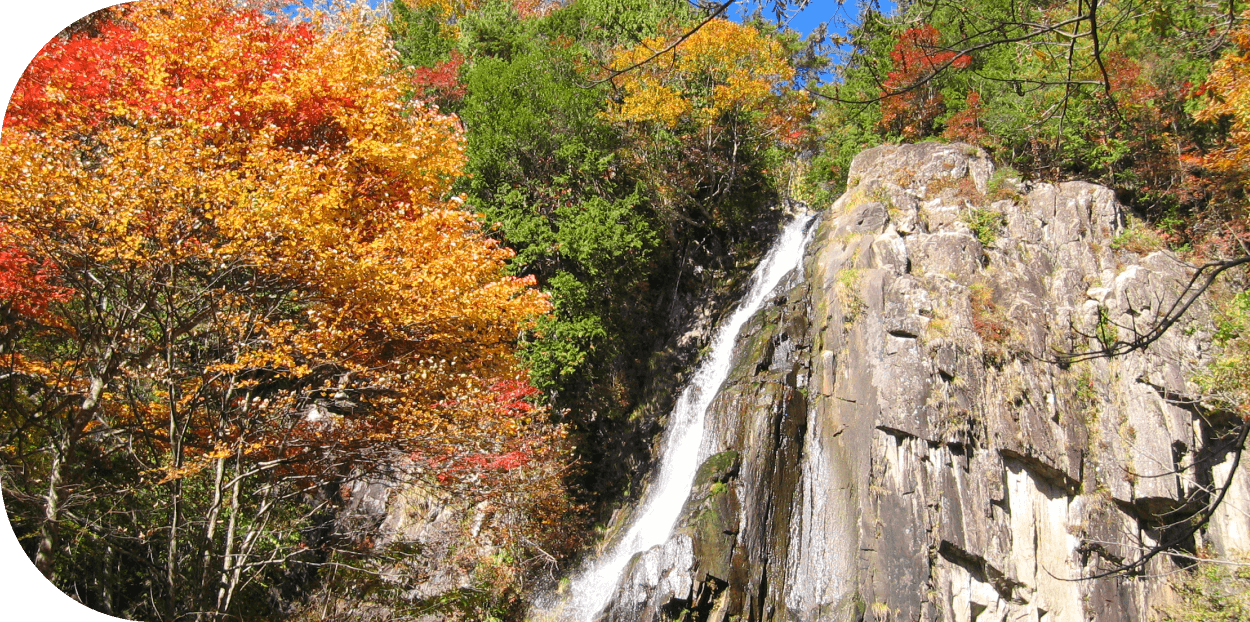 森林公園おおくら滝