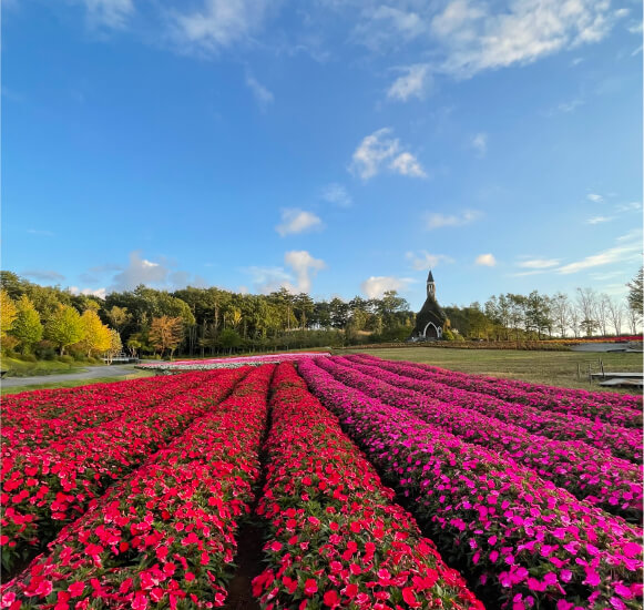 ひるがの高原 牧歌の里