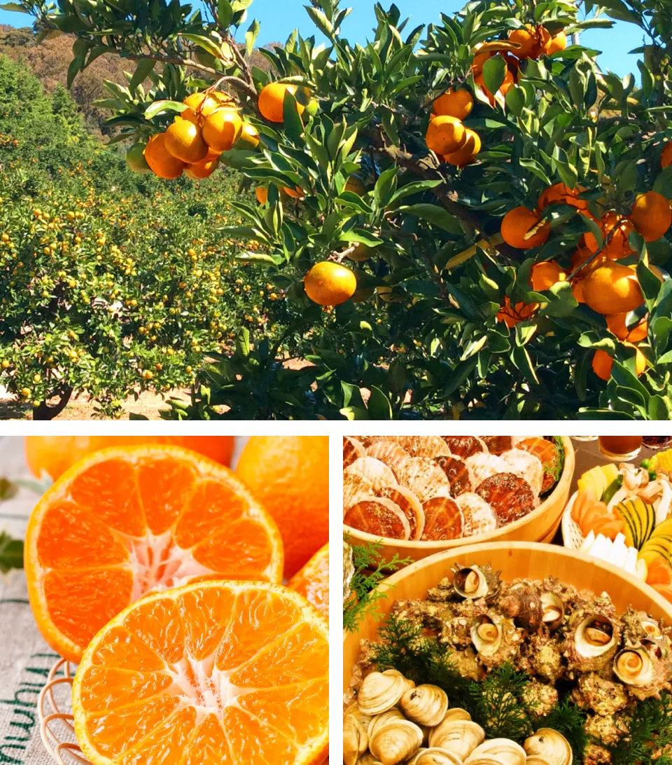 蒲郡オレンジパーク