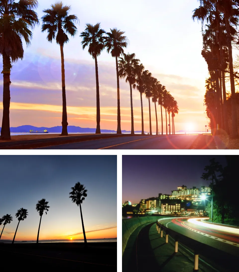 西浦シーサイドロード