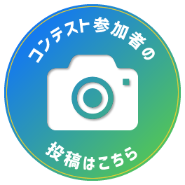 コンテスト参加者の投稿はこちら