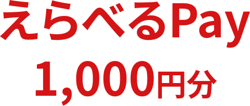 えらべるPay1,000円分