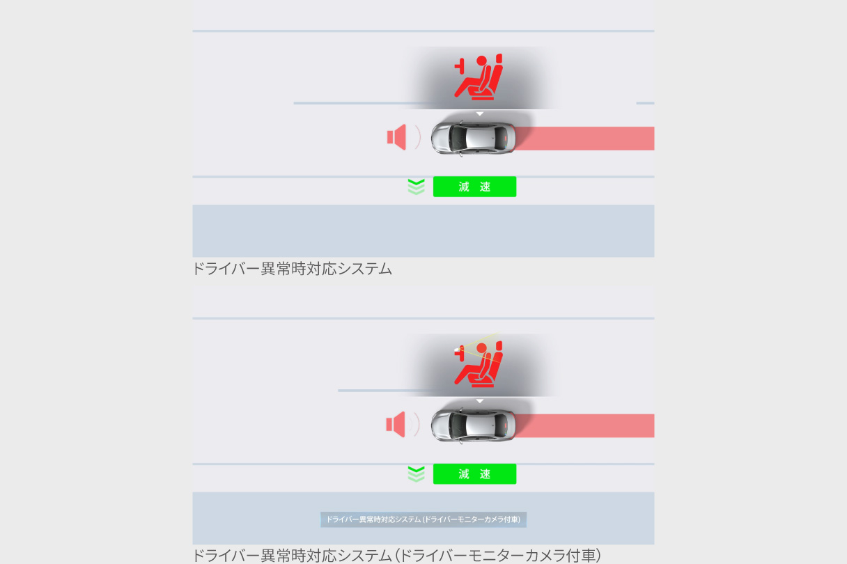 noah_safety_img36