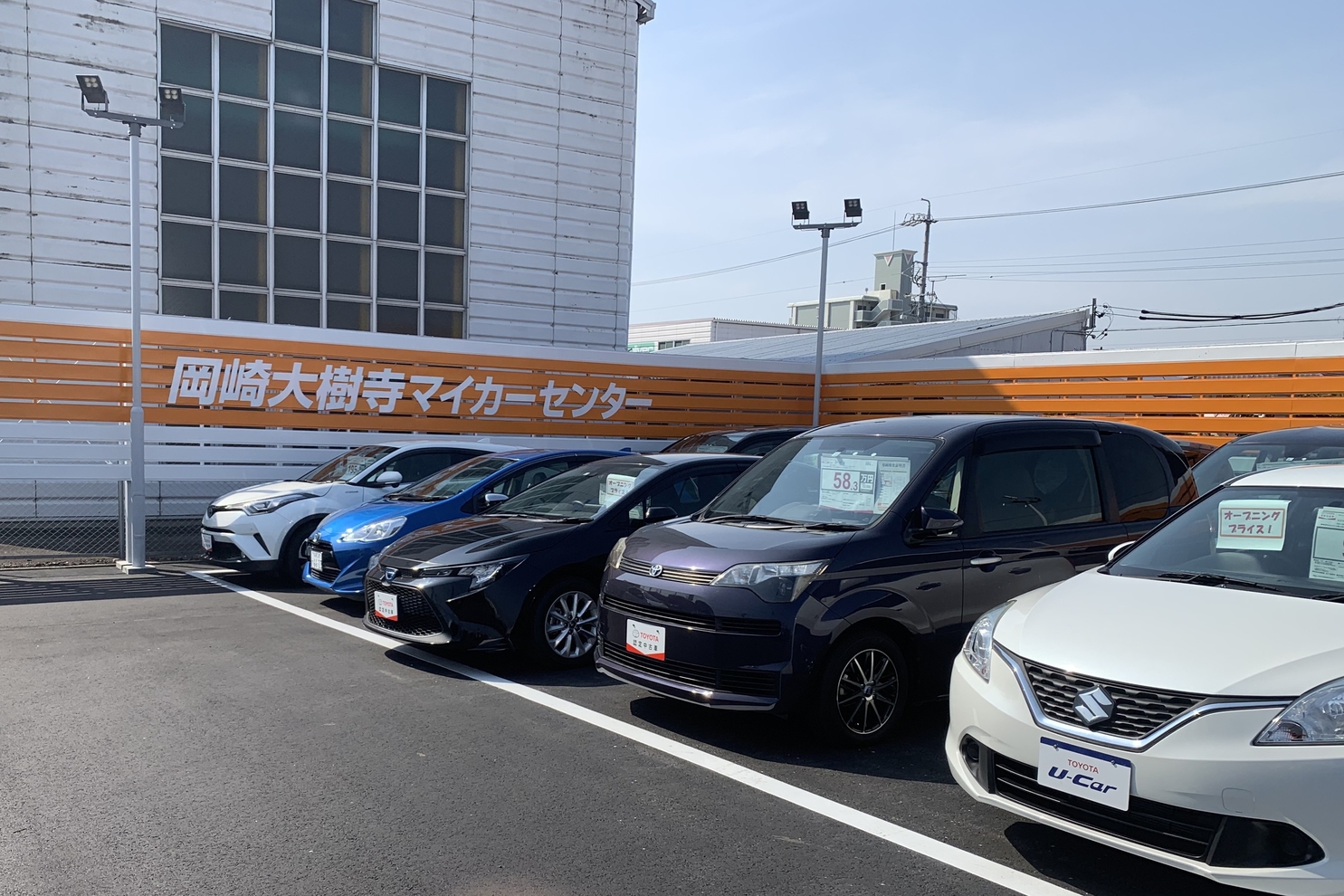 大樹寺MC 写真