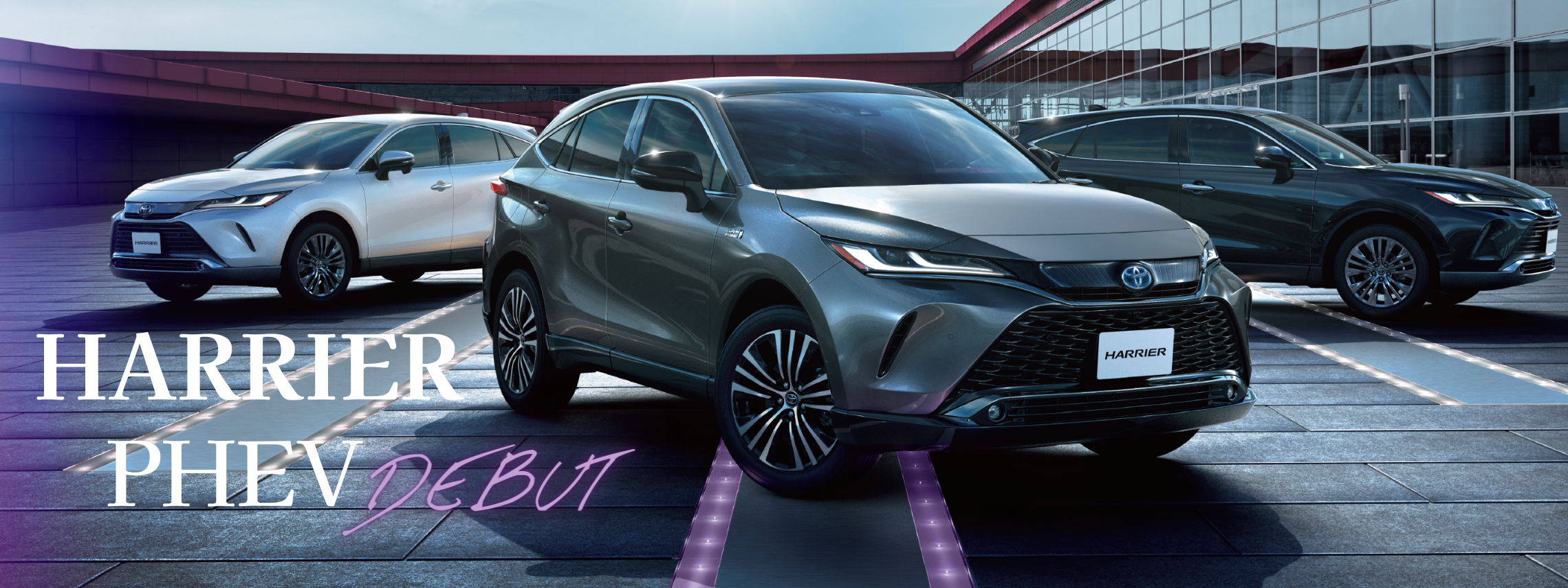 トヨタカローラ愛知