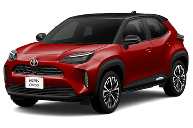 ブラックマイカ〈209〉×センシュアルレッドマイカ〈3T3〉［2PN］フロントサイド