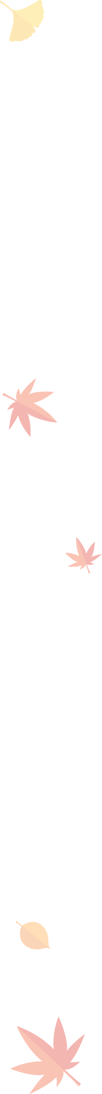 落ち葉