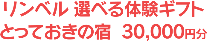 リンベル 選べる体験ギフト