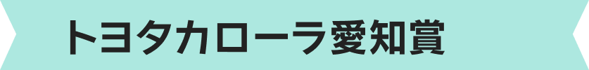 トヨタカローラ愛知賞