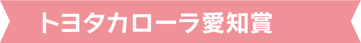 トヨタカローラ愛知賞