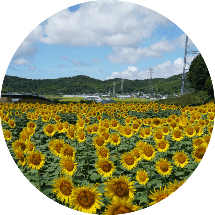 サンテパルクたはら
