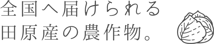 全国へ届けられる田原産の農作物。