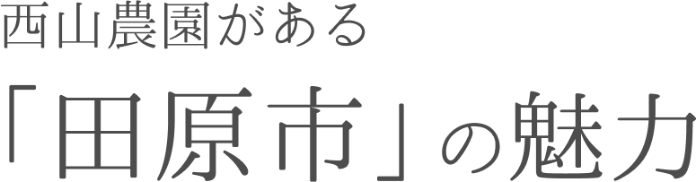 西山農園がある「田原市」の魅力