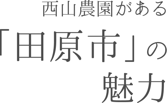 西山農園がある「田原市」の魅力