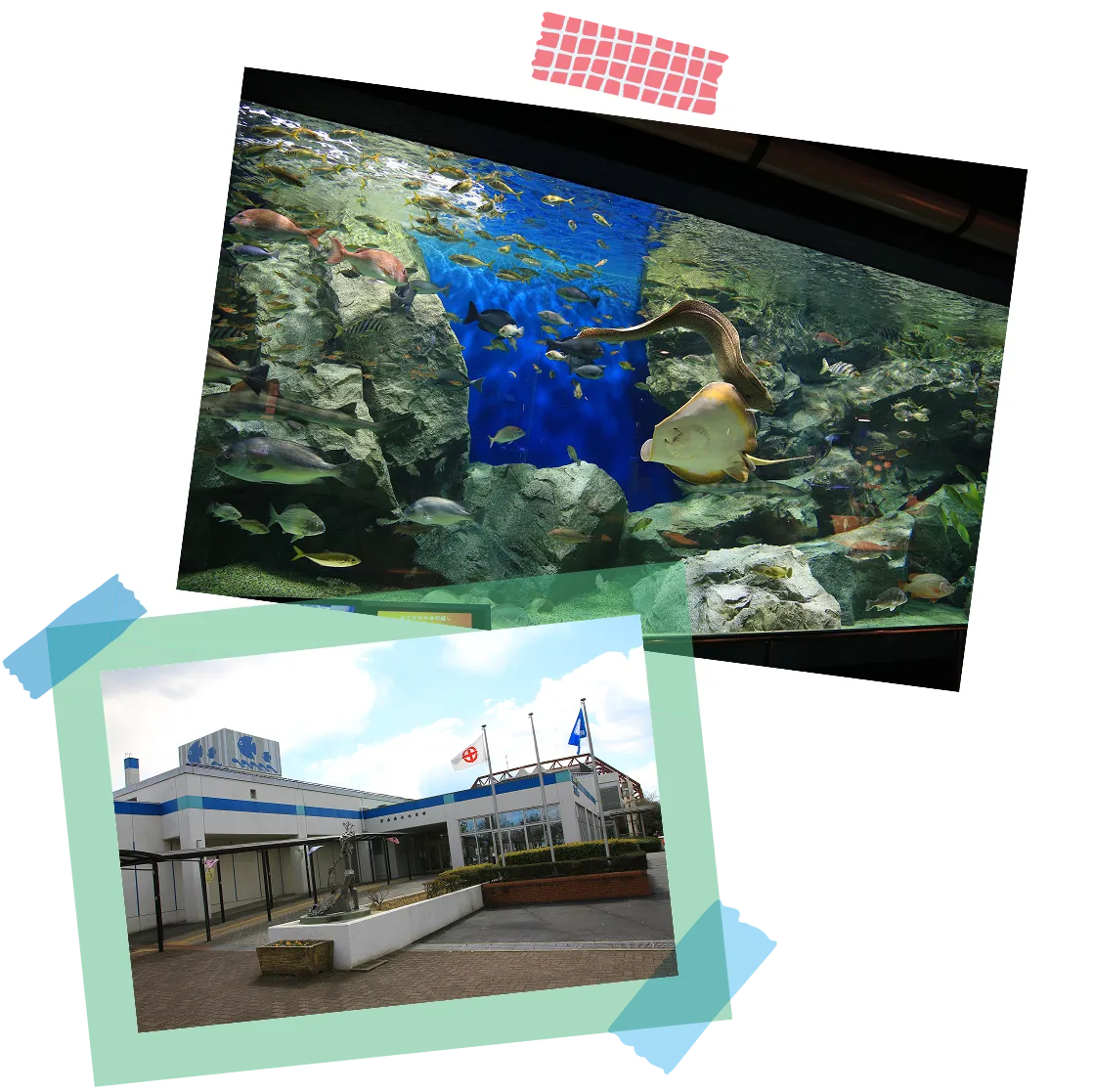 碧南海浜水族館