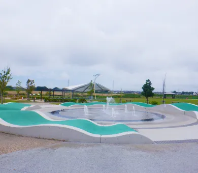 油ヶ淵水辺公園 自然ふれあい生態園