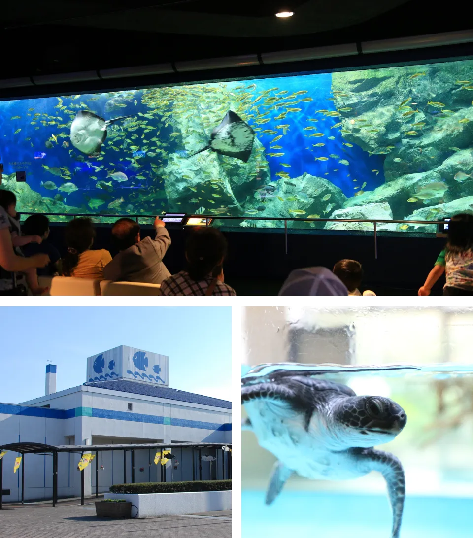 碧南海浜水族館
