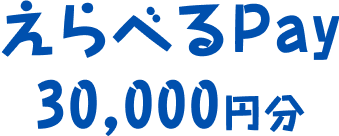 えらべるPay