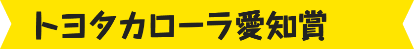 トヨタカローラ愛知賞