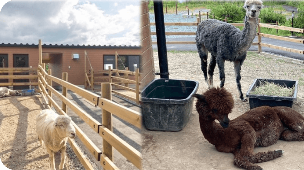 ごかつら池ふるさと村