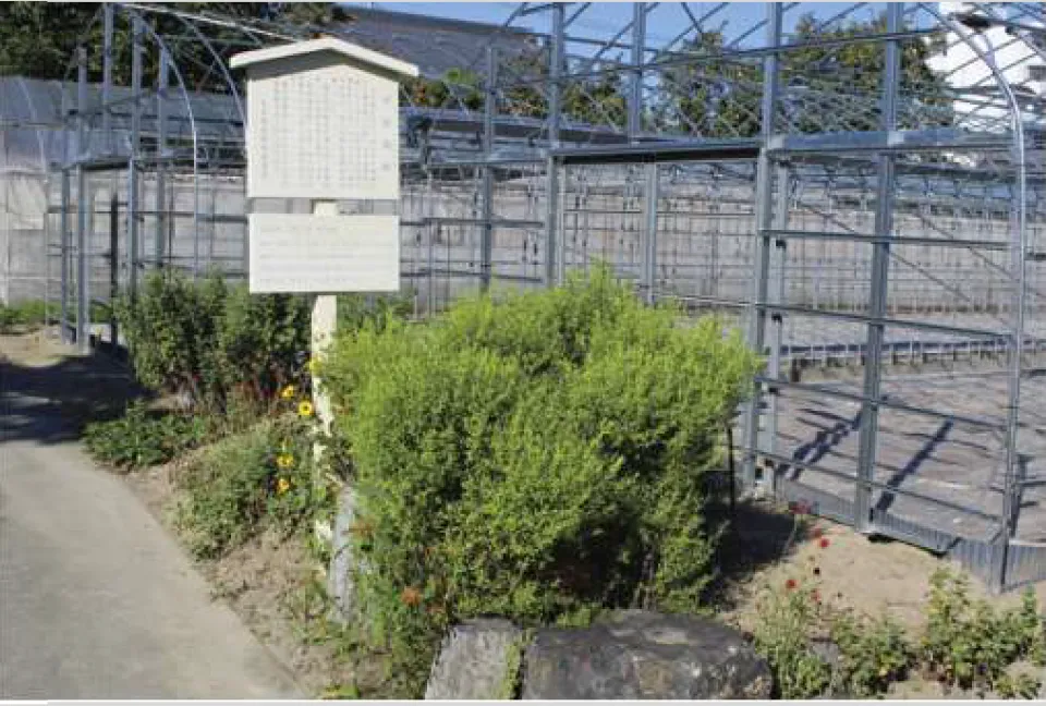 コーチン発祥の地