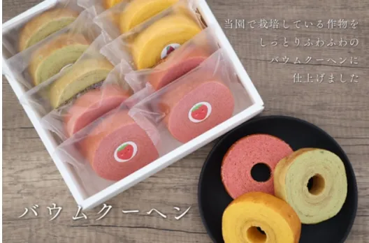 バウムクーヘン 10個