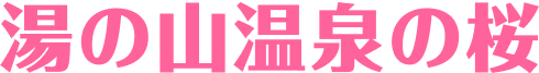 湯の山温泉の桜