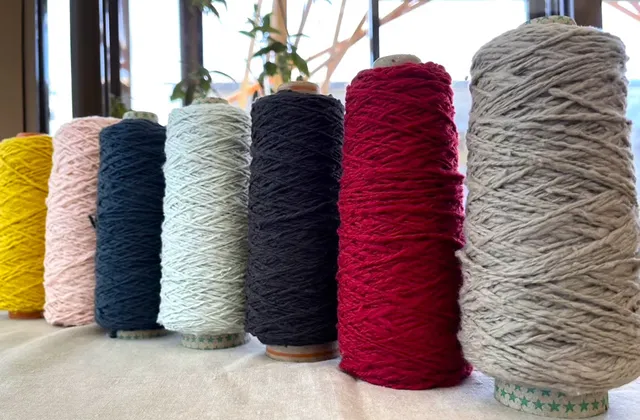 ガラ紡糸100gコーン巻【エコ染　定番色シリーズ】
