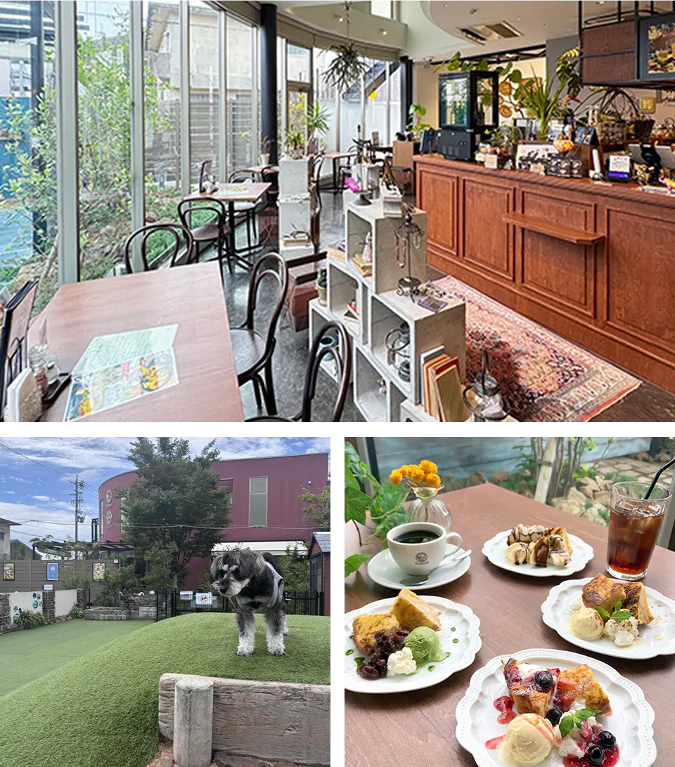 cafe Fusion 豊川店