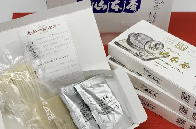 味噌煮込みうどん (半生麺)3セット6食入