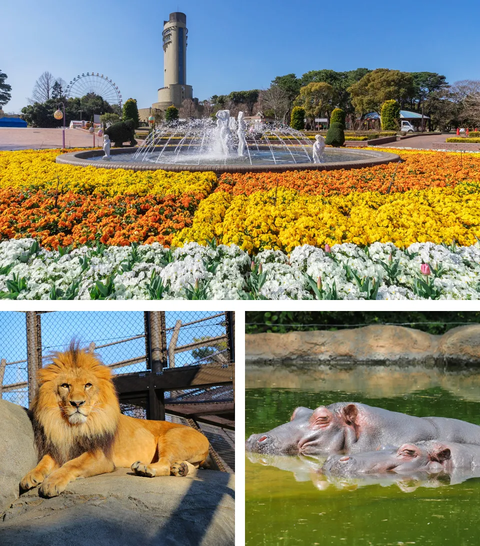 豊橋総合動植物公園(のんほいパーク)